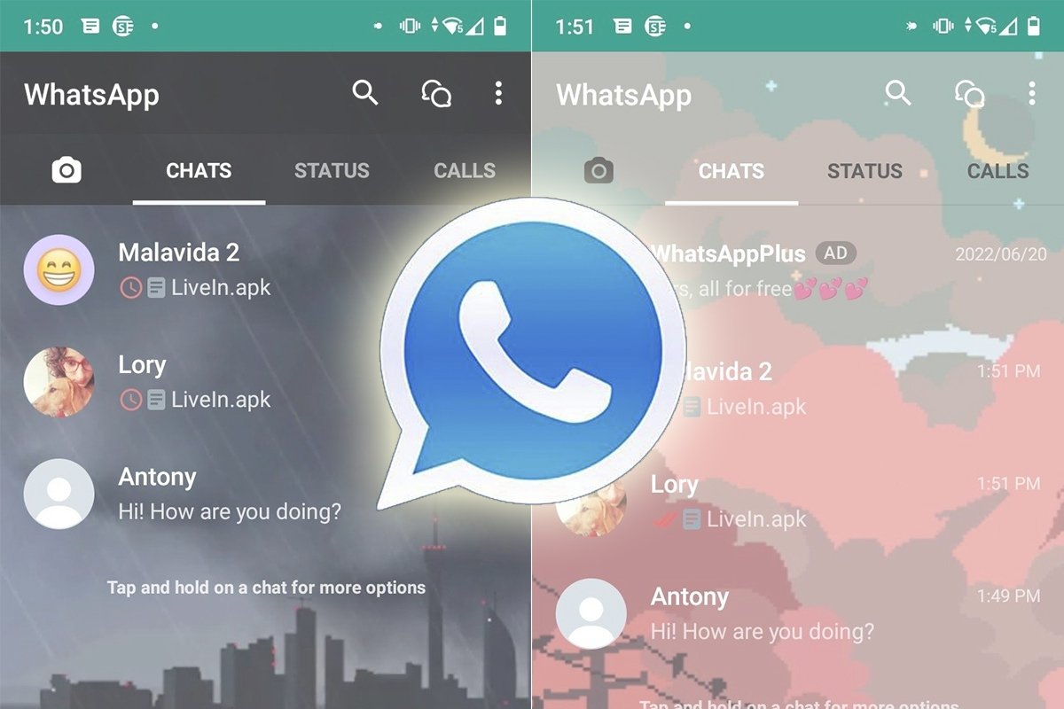 WhatsApp: The ideal digital marketing tool
